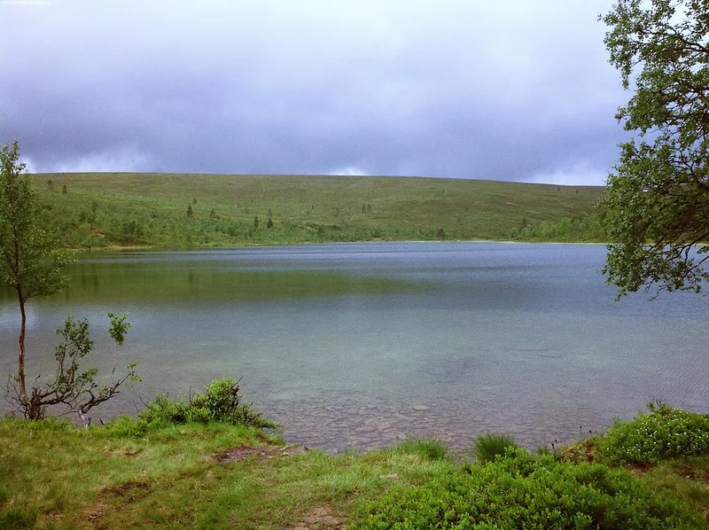 Elevating the Wilderness Experience: A Comprehensive Update to the Riisitunturi National Park Guide
