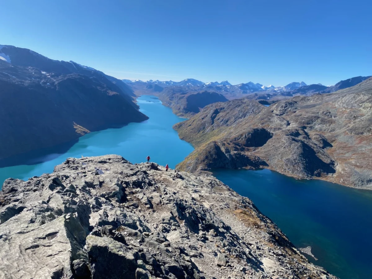 Into the Land of the Giants: A Masterclass in Nordic Trekking Through Jotunheimen