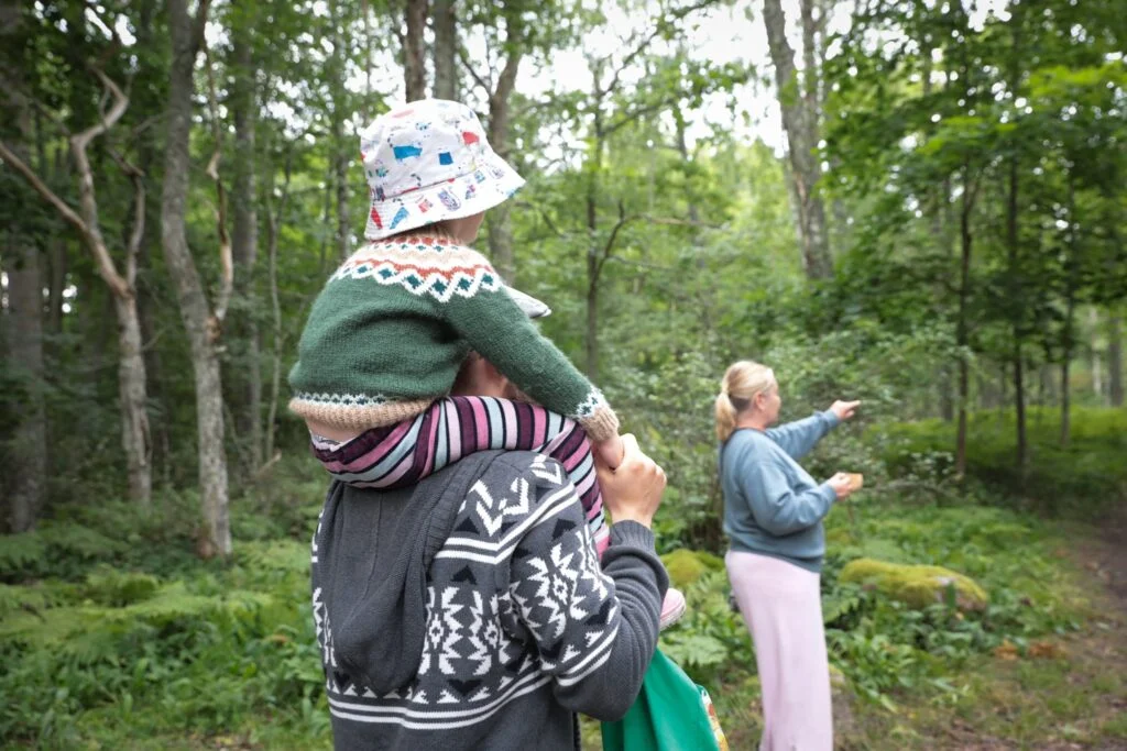 Nature’s Classroom: How Finland’s Annual "Children’s Bird Week" Connects New Generations to Biodiversity