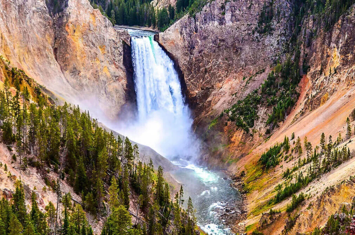 Navigating Uncertainty: The Strategic Pivot of the National Conference on Wilderness Medicine During the COVID-19 Pandemic