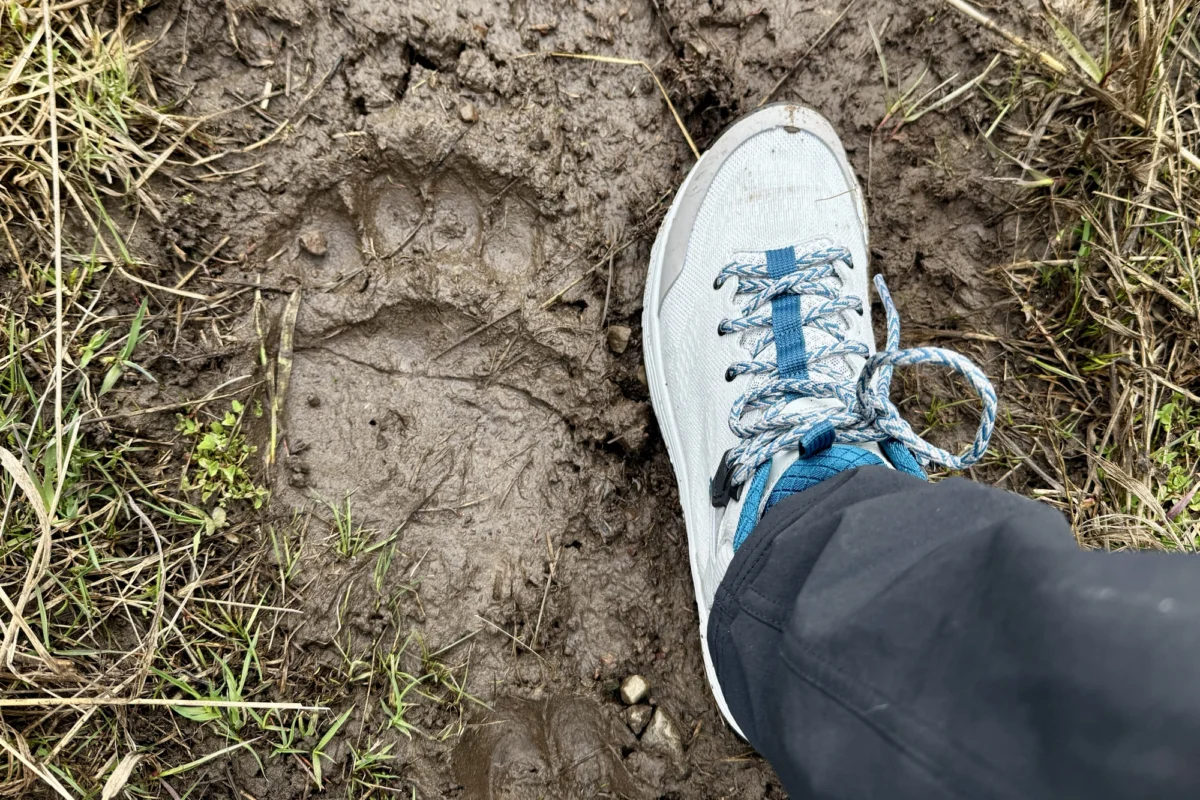 Beat the Heat: A Comprehensive Review of the Teva Grandview Max Vent Hiking Boot
