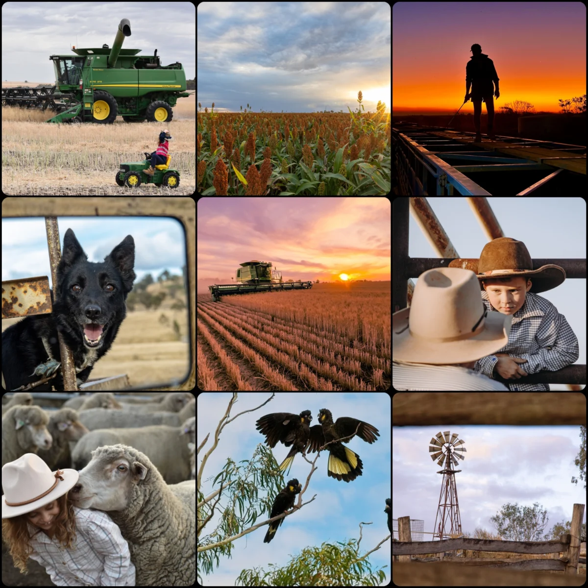 Capturing the Soul of the Outback: Spirit of the Bush Photography Competition Returns for 2026