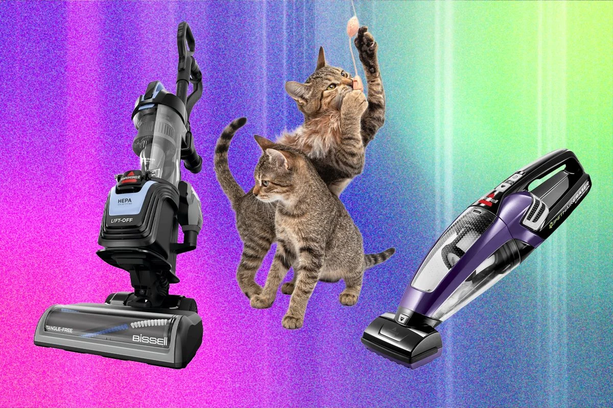 The Ultimate Battle Against Pet Hair: A Comprehensive Guide to Vacuuming Success