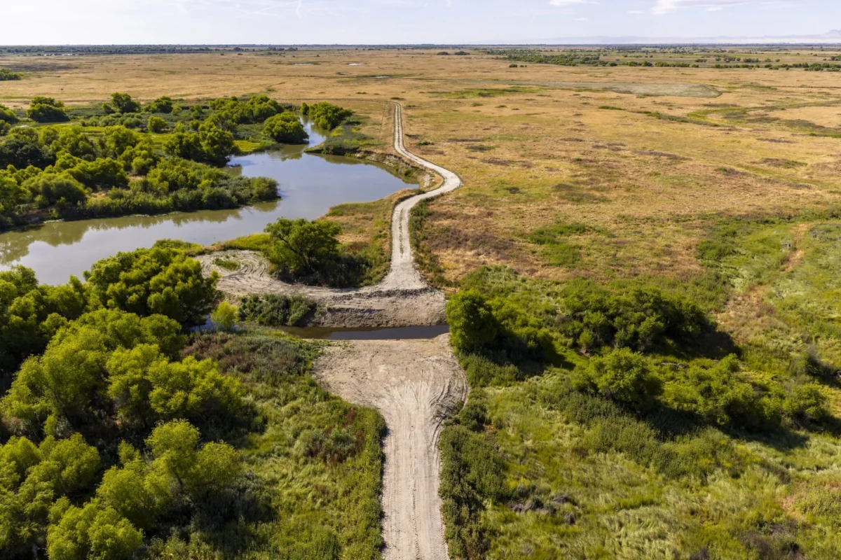 A River Reclaimed: The 15-Year Restoration of the Great Valley Grasslands