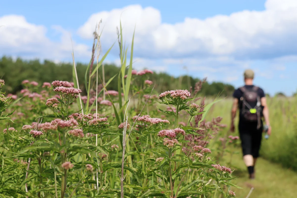 Abruka: A Nordic Mediterranean Gem in the Heart of the Baltic