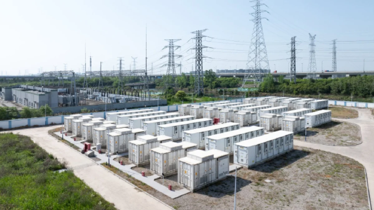 Nordic Energy Transition: Aurinkokarhu and Futureal Energy Partners Forge 3GW Renewable Alliance
