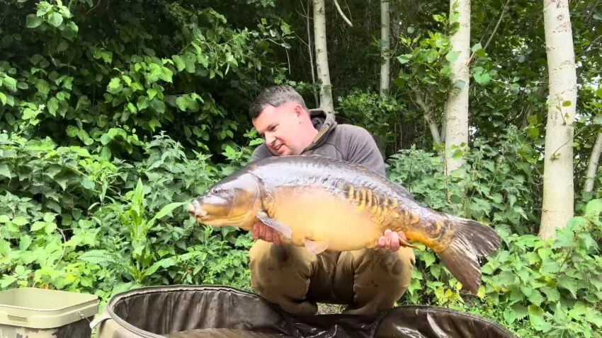 The Ghost of the Waters: Unveiling the Enigma of the Ghost Carp
