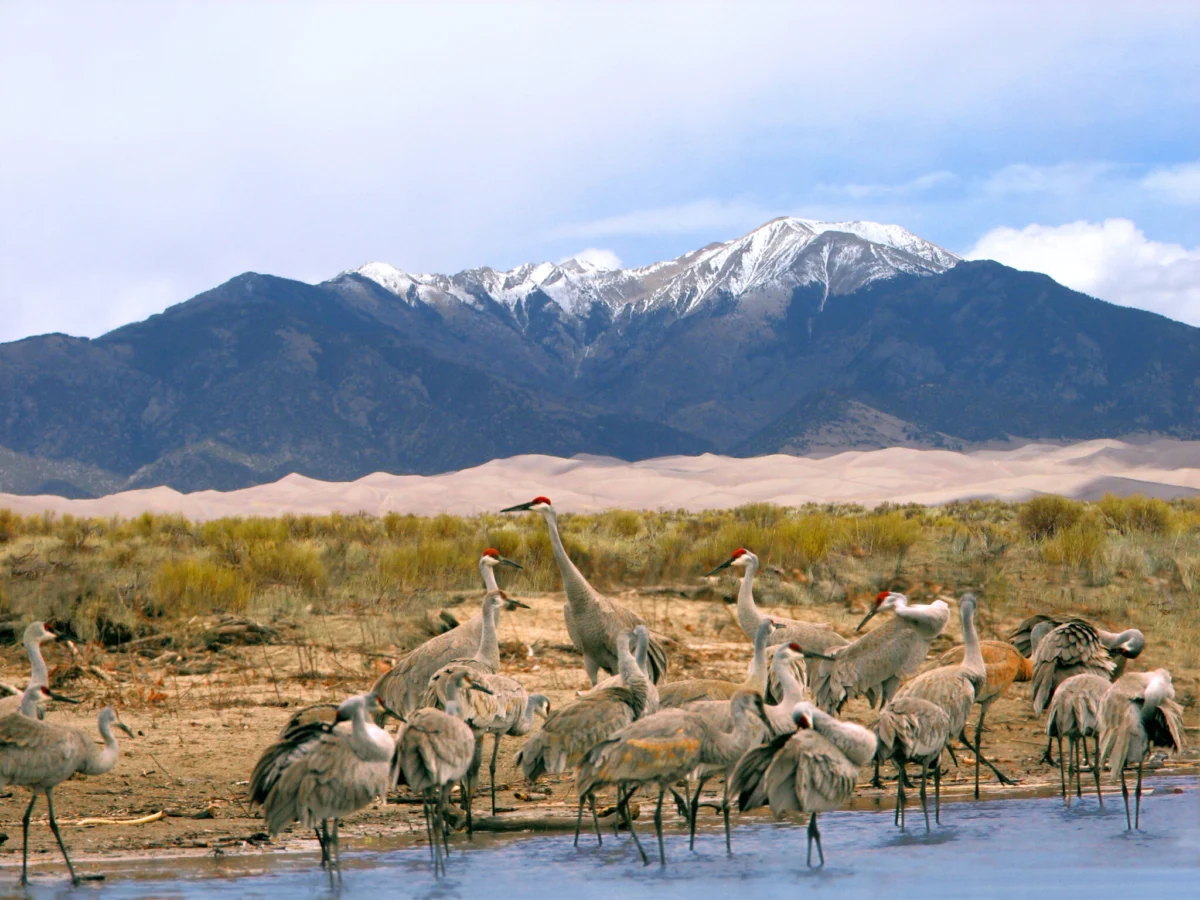 The San Luis Valley’s Silent Crisis: Innovation Amidst a Historic Water Drought