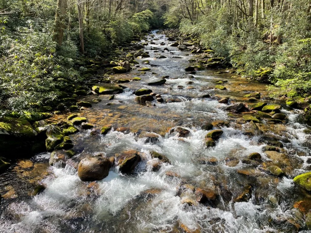 The Silent Crisis: Drought and the Fragile Future of Southeastern Rivers