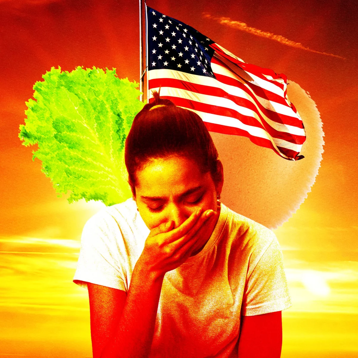 The Summer of Sickness: America’s Food Safety System at a Breaking Point