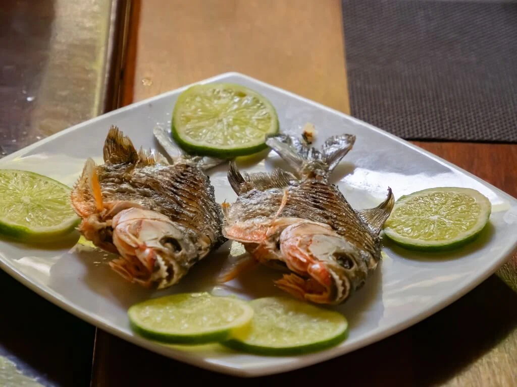 Beyond the Silver Screen: The Reality of Eating Piranha