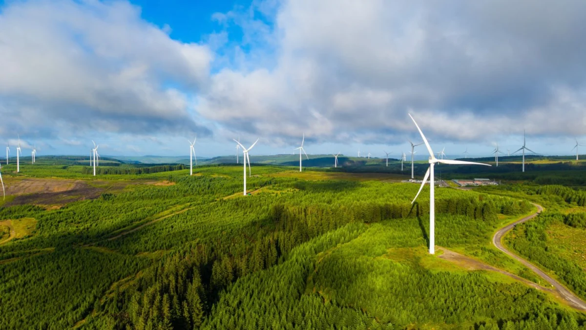 Mercury Completes Landmark Expansion of Kaiwera Downs: A New Era for South Island Renewables