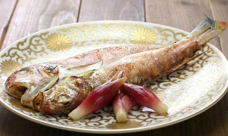 The Angler’s Dilemma: Navigating the Ethics and Gastronomy of "Difficult" Fish
