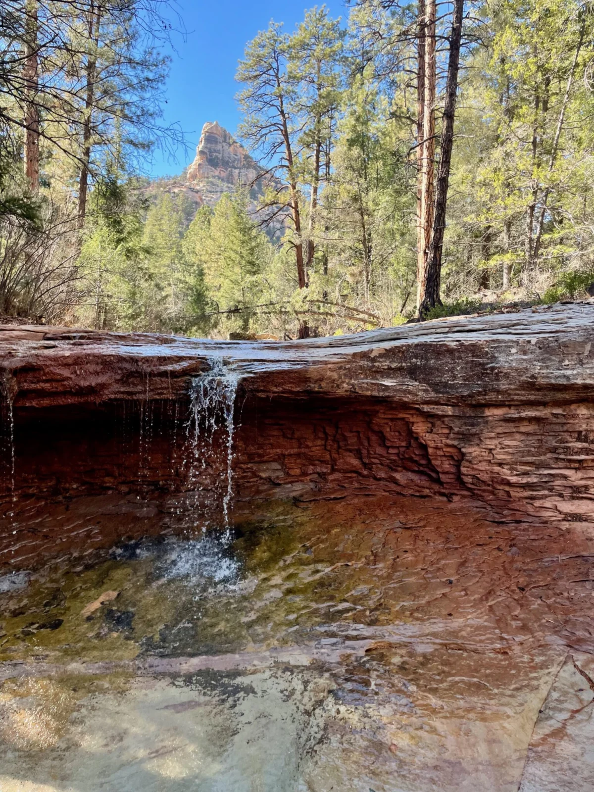 The Antiquities Act Under Siege: The Unprecedented Rollback of America’s National Monuments