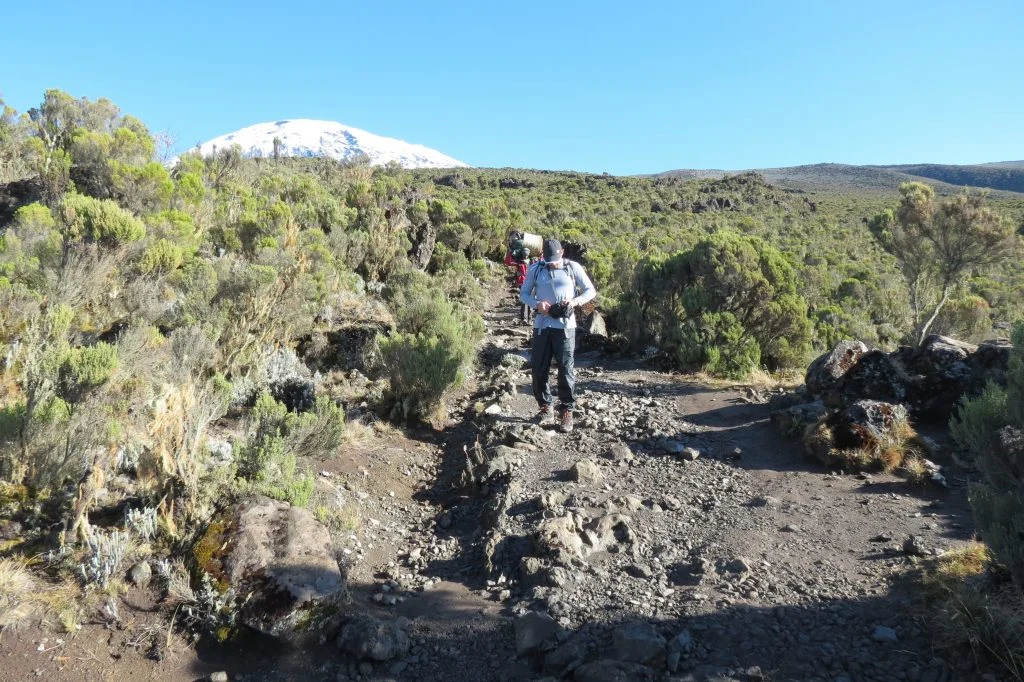 The Ascent of Excellence: Why the Lemosho Route is the Gold Standard for Kilimanjaro Expeditions