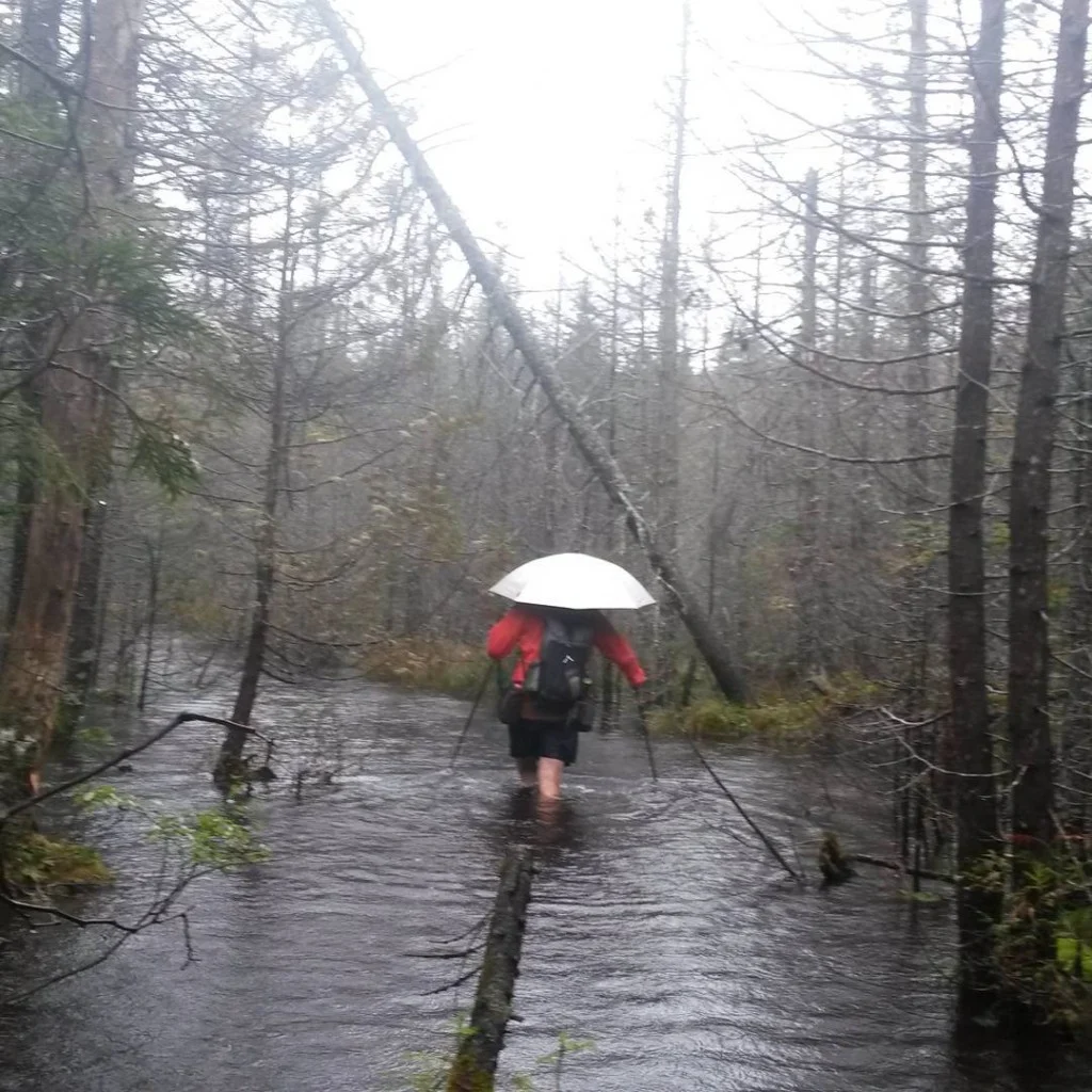 The Wilderness Fallacy: Debunking 10 Persistent Myths That Could Put Hikers at Risk