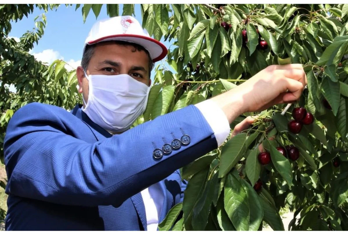 Tokat: An Anatolian Gem Prepares to Host the Global Ecotourism Vanguard