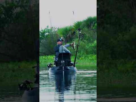 Video: Early Morning Kayak Adventure!