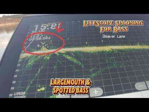 Video: LiveScope spooning for bass on Beaver Lake in Arkansas
