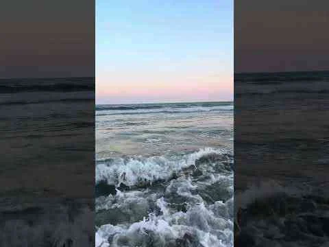Video: Myrtle Beach, South Carolina Surf #fishing