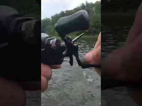 Video: Spinnerbait River Bass! #bassfishing