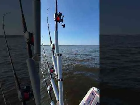 Video: That’s right we are in the boat with the godfather of power trolling.
