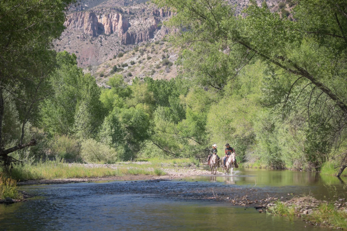 The Last Wild Vein: The Fight to Save the Gila River Headwaters